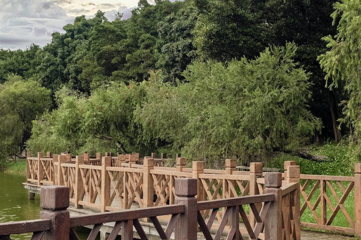 东钱湖环湖绿道 — 平坦开阔的湖畔步道